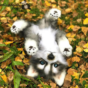 Meet your Posher, Mujda